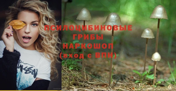 наркотики Абаза